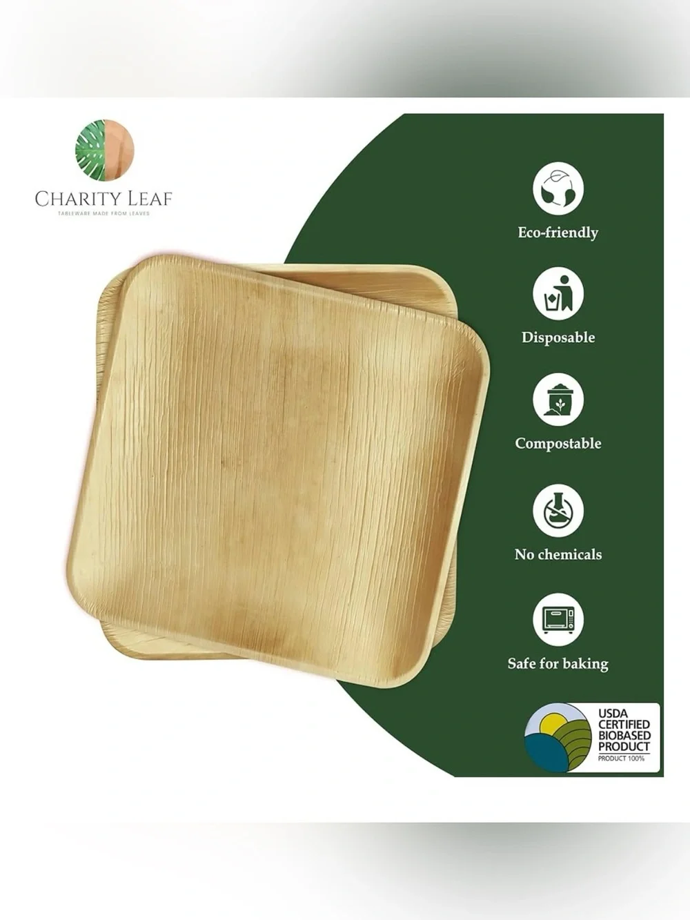 Palm Leaf Plates 50 Count 10x10 Compostable Bridal Shower Party Eco